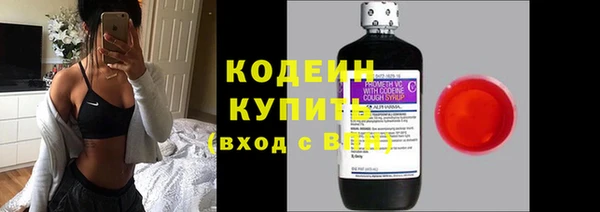 стаф Козельск
