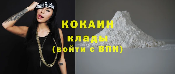 стаф Козельск