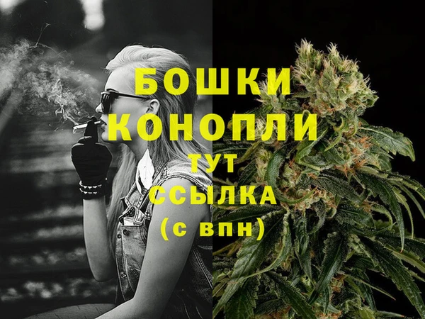 сатива Нея