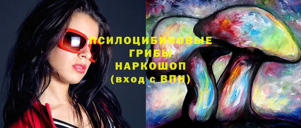 бошки Кодинск